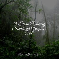 Wings in Flight - Massage Tribe & Deep Sleep Systems & Best Kids Songs