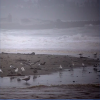 Windy Day at the Beach with a Gentle Rain - Destressing Background Noise & The Calming Sounds of Nature & White Noise Collection & Wide Array of Background Sounds & White Noise for Deep Sleep & Meditation & Stress Relief Therapy