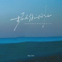 抓不住的回忆 - big cole