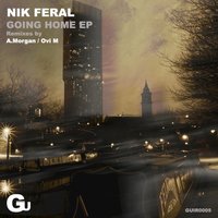 Space at Last - Nik Feral