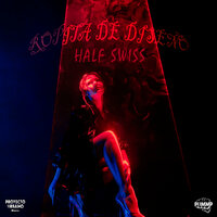 Ropita de Diseño - Half Swiss & PUMMP