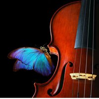 Calm Twilight Softens Edges - Music Box Tunes & Meditative Cats & ASMR Denmark