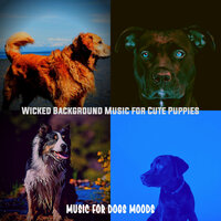 Vintage Training Dogs - Music for Dogs Moods